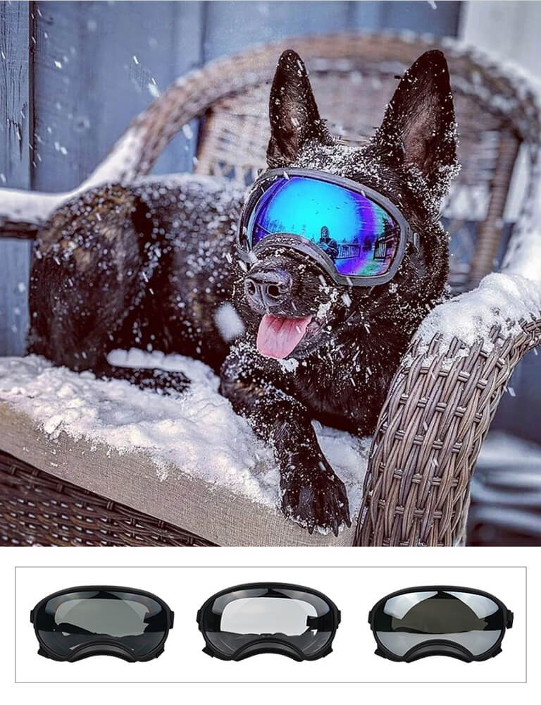 Doggy Goggies